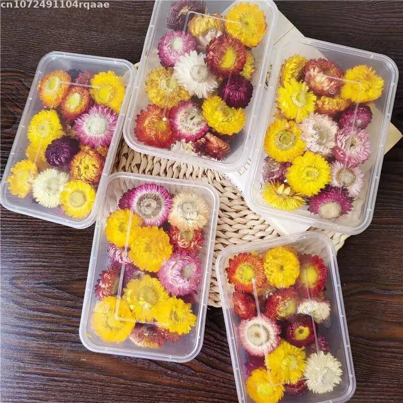 100%天然ドライフラワー ブラクタナ ウェディングデコレー - Candle Making Material Wholesale のレビューと価格