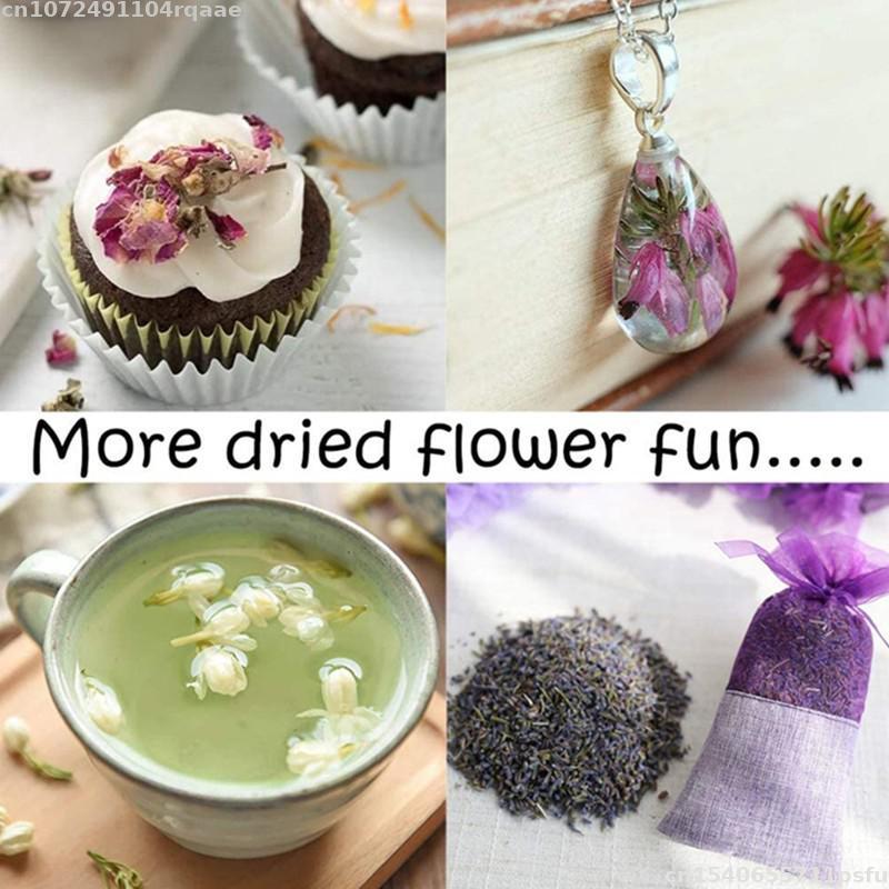 100%天然ドライフラワー ブラクタナ ウェディングデコレー - Candle Making Material Wholesale のレビューと価格