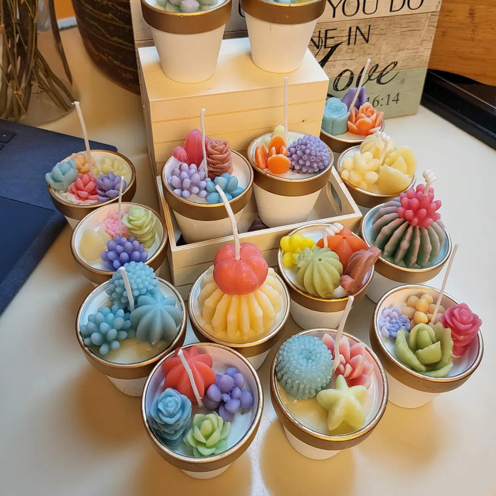 6個の多肉植物シリコンキャンドルモールド 3D多肉植物サボテ - Candle Making Video のレビューと価格